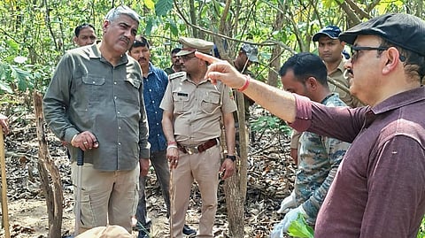 Uttarakhand forest officers inspect the site in Haridwar region where the bodies of two tiger cubs, a male and a female, were found.
