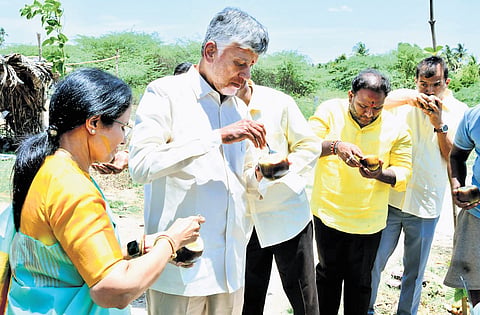 Chief Minister N Chandrababu Naidu, along with his wife Bhuvaneswari, relishes ice apples at a roadside vendor in Kuppam constituency on Sunday.