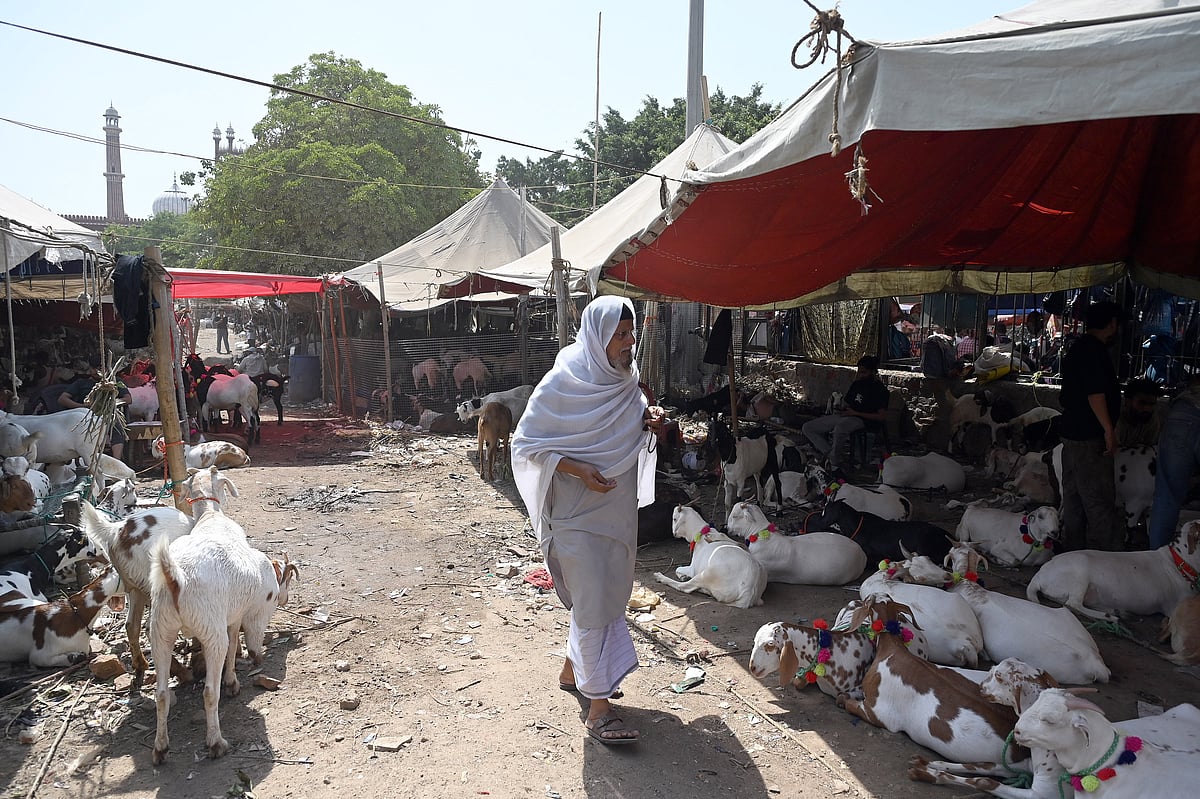 Bakrid sacrifices only at places designated by government, Says Kapil Mishra