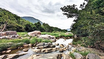 Experts urge governments to draft new bill for river, mountain conservation.