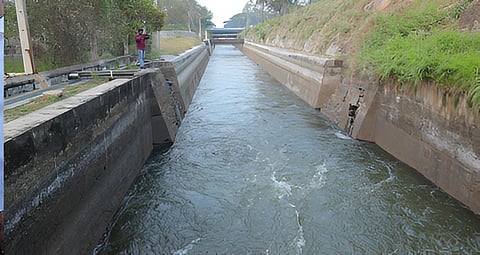 Parambikulam Aliyar Irrigation Project (PAP) irrigates 3,77,152 acres under the Thirumoorthi dam and 44,000 acres under the Aliyar dam
