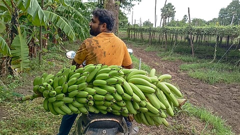 Kalpesh Patel has emerged as one of Gujarat's most inspiring voices in natural farming.