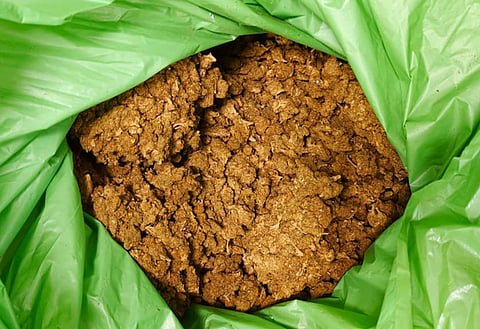 Hydroponic ganja used for representational purposes only. 