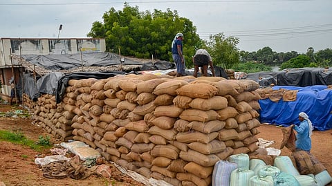 Image of paddy procurement used for representative purpose.