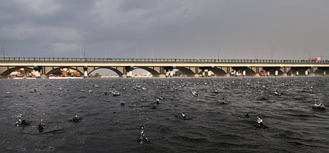 Vaigai River image used for representation purposes only.