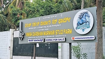 A ‘Horse for Sale’ board outside Vinish Darshan Marwari Stud Farm on the Mysuru-T Narasipura Road 