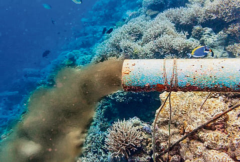 MoEFCC set to lift ban on hazardous chemicals in coastal areas 