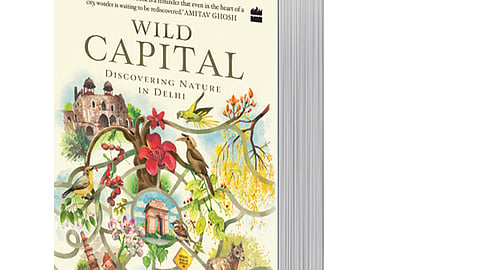 Wild Capital: Discovering Nature In Delhi
By: Neha Sinha
Publisher: HarperCollins
Pages: 320
Price: Rs799