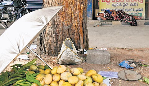 A mango vendor rests beside her roadside stall in Karimnagar on Friday afternoon.