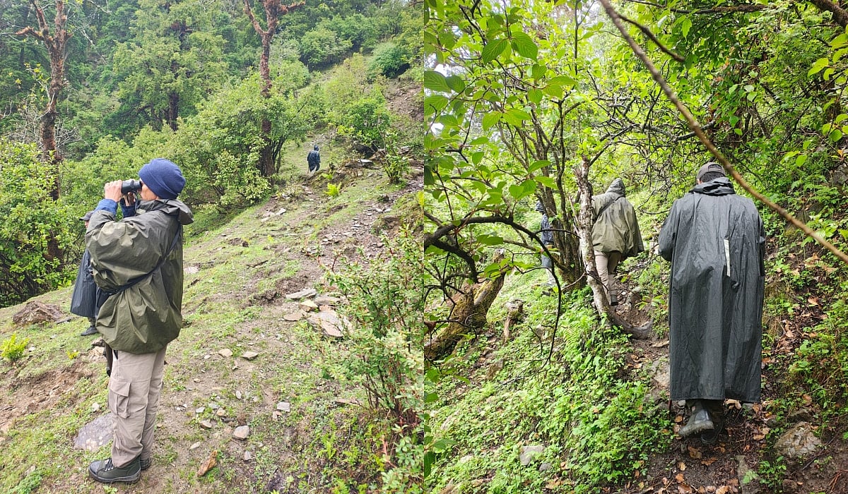 Massive search operations launched for two missing trekkers in Uttarakhand