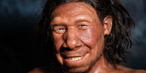 A reconstruction of the face of the oldest Neanderthal found in the Netherlands on display in Leiden