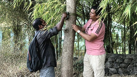 Staff from the Haldwani Forest Division mount wildlife acoustic recorders on trees to monitor biodiversity in the region.