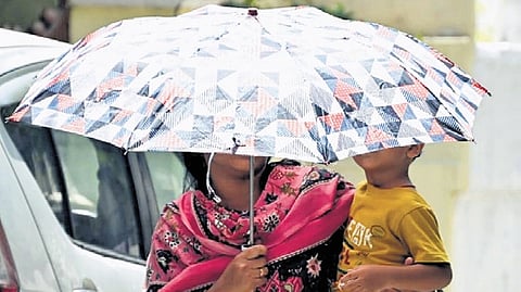 The study argues that actual heat-related deaths are likely much higher than official figures because many fatalities are recorded under cardiovascular, respiratory or other medical causes.