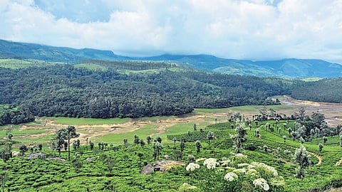Chinnakkanal