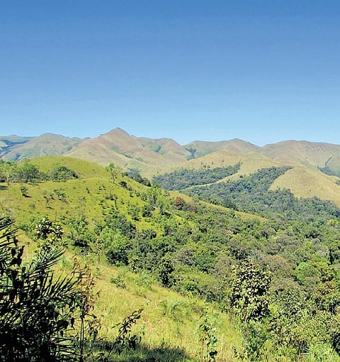 Western Ghats spread across 1600km -- Kerala, Tamil Nadu, Goa, Maharashtra and Gujarat. 