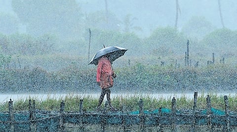 The India Meteorological Department (IMD) has forecast below-normal rainfall and an El Nino year.