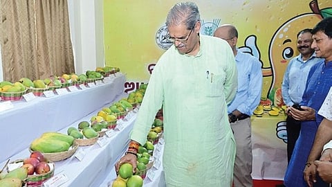 Deputy CM KV Singh Deo going around the mango festival