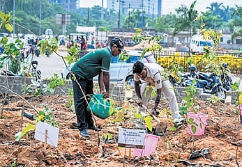 People plant saplings on the ocassion of World Environment Day near Hatiasuni Square in the capital.