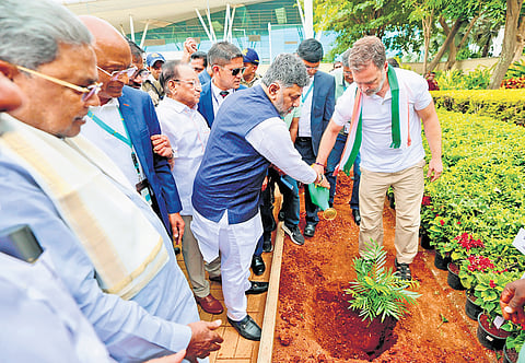 Chief Minister DK Shivakumar and senior Congress leader Rahul Gandhi plant a sapling at Kempegowda International Airport on Friday.