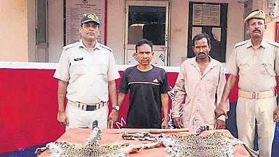 The two accused with leopard skins