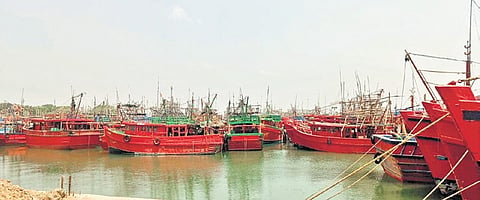 Trawlers docked at the Paradip fishing harbour in Jagatsinghpur 