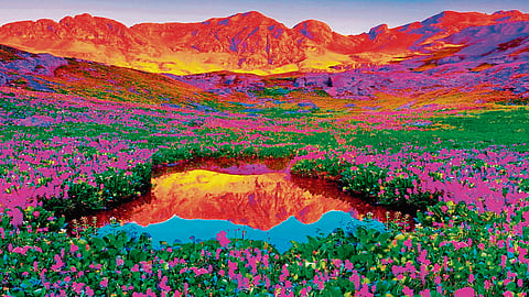 The best itinerary at Valley of Flowers