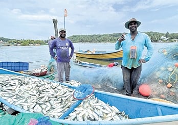 A file photo of fishermen in Karwar returning with their catch of the day.
