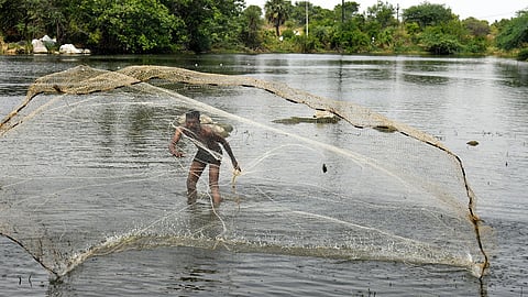 A fisherman casts a traditional fishing net in Erragunta Lake