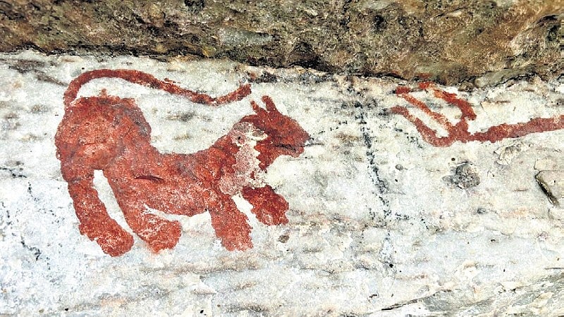 ASI survey uncovers ancient rock art, inscriptions in Andhra's Nallamala Forest