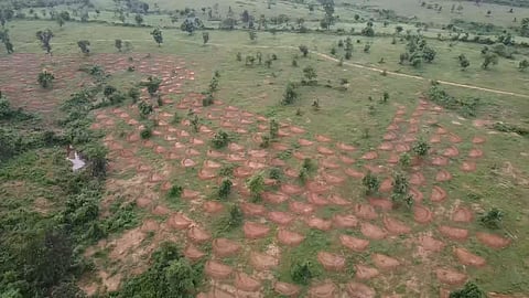 Over 50,000 half-moon shaped shallow trenches have been dug using soil and water conservation methods modelled on practices used in Israel and parts of Africa. 