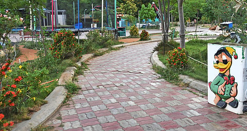 Overgrown weeds seen all across the Science Park in Anna Nagar
