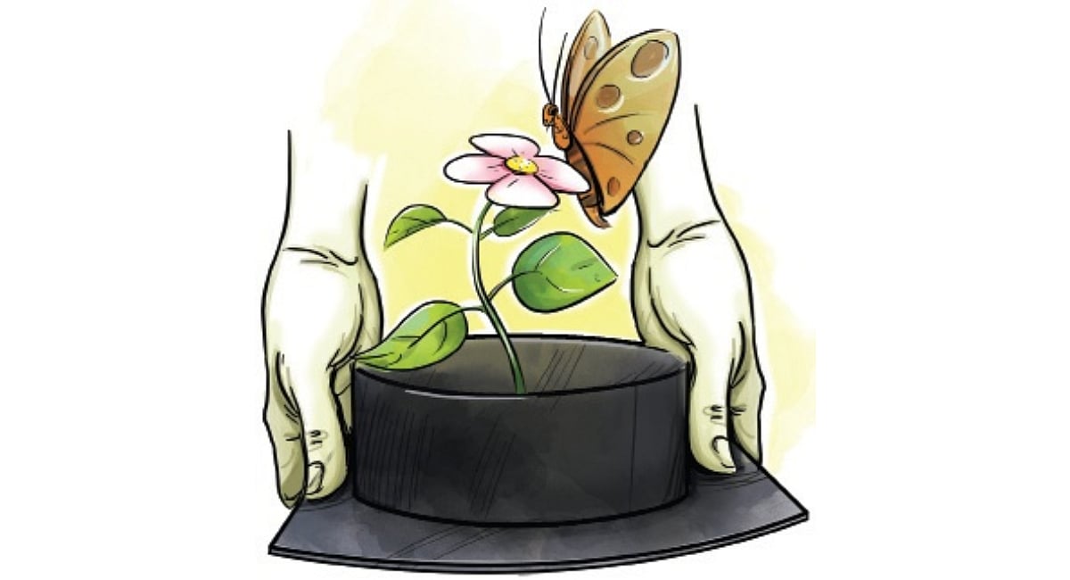 Kerala campuses set for biodiversity cataloguing drive