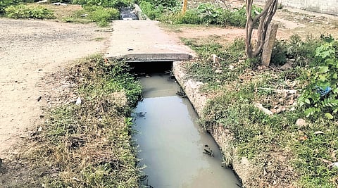 Sullage in canals linked to Madambakkam lake
