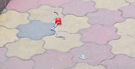 Miscreants hurl two petrol bombs at RSS office in Ranchi