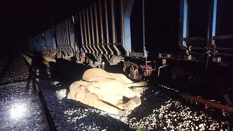 The PCCF directed the committee to thoroughly inspect the crash site and submit a comprehensive report within two weeks.