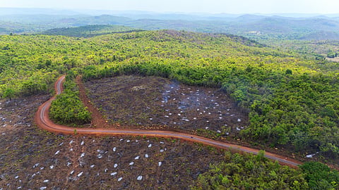 The district administration admitted that trees are being felled as villagers have been practising shifting cultivation on a large scale.
