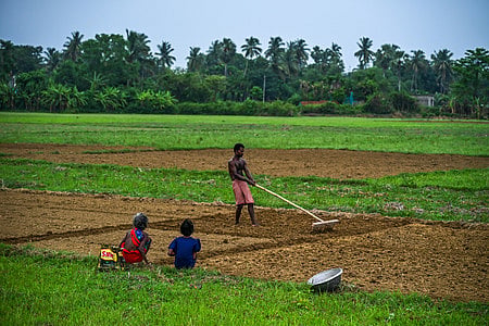 Economy holds firm, monsoons risk looms
