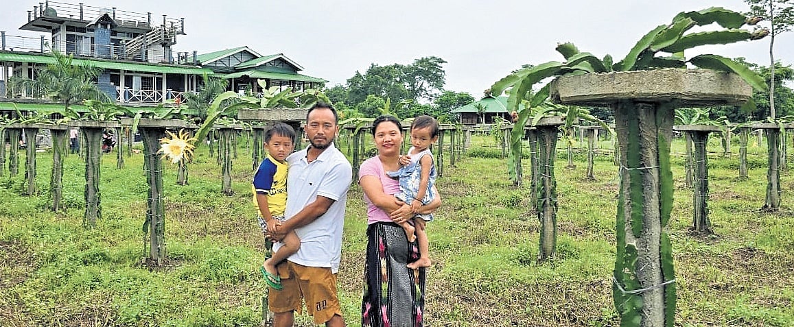 A degree in literature , a life in farming