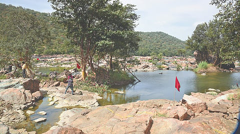 TN Farmers oppose tribunal plan in Mekedatu issue.