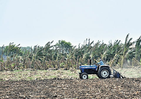 18 districts received rainfall on Sunday, with showers extending from north coastal Andhra to parts of Rayalaseema. 