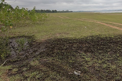 Waste disposed near Kabini backwaters.