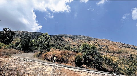 A view of the Chokramudi hills in Bison Valley