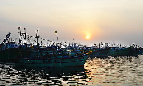 Chennai's fishing ban lifted: In pictures