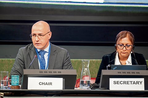 Plastic production, chemicals remain on negotiating table, says INC Chair
