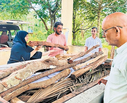 District panchayat member Irfana Iqbal performing the final rites of former RSS worker Narayanan