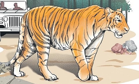 Image used for representation only.