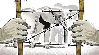 Image used for representation only.