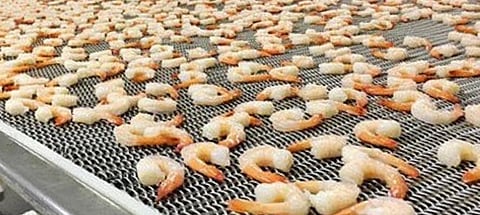 Processing prawn.