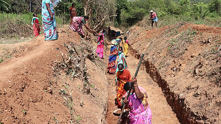 Women work in the field employed under the MGNREGA scheme 