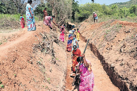 The state has adopted the benchmark wage of Rs 300, while Kerala and Haryana offer the highest daily wages at Rs 401 and Rs 409, respectively.